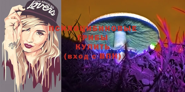 гидра Алзамай