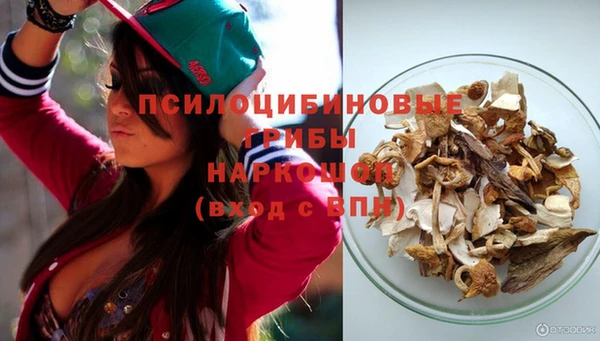 спайс Алексин