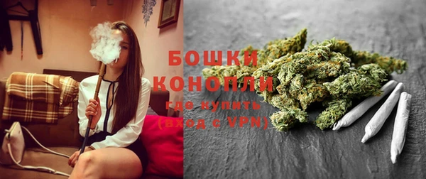 гидра Алзамай