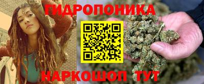 ПСИЛОЦИБИНОВЫЕ ГРИБЫ Можга
