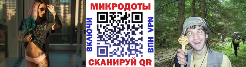 Псилоцибиновые грибы GOLDEN TEACHER  OMG tor  Осинники  хочу наркоту 