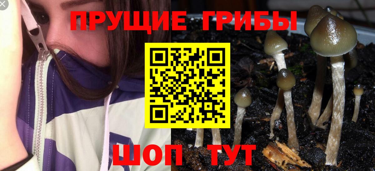 Псилоцибиновые грибы Magic Shrooms  Вход с VPN  Осинники 